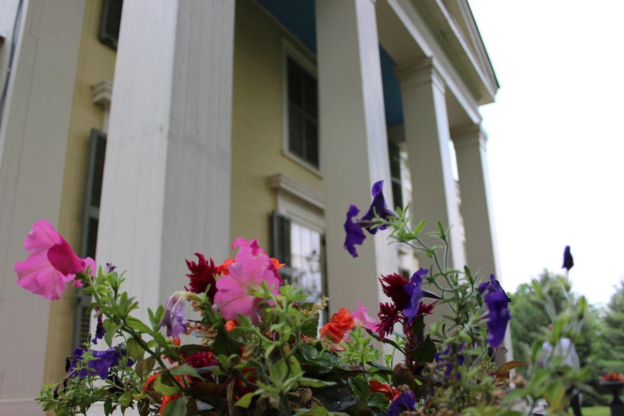 Oakcliff Bed And Breakfast Halfmoon Екстер'єр фото